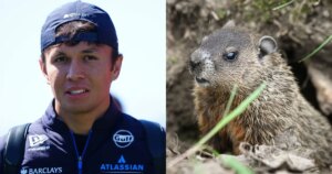 F1: Albon atropela marmota no Canadá, bate e fica fora da sprint; veja