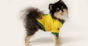 Em clima de Copa do Mundo: veja os nomes de jogadores mais usados em pets