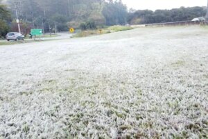 Santa Catarina pode registrar -5ºC e geada. Veja onde