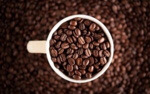 Produção de café no Brasil baterá recorde em 2026, projeta Conab