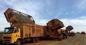 BioRota transforma resíduos da cana em combustível