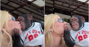 Vídeo de Virginia beijando macaco vira alvo de racismo contra Vini Jr.