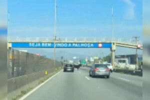 Boi invade rodovia, causa confusão e mobiliza motoristas em SC